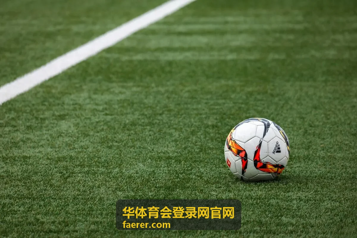 华体育会登录网官网登录入口界面示意